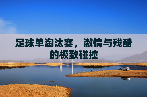 足球单淘汰赛,激情与残酷的极致碰撞