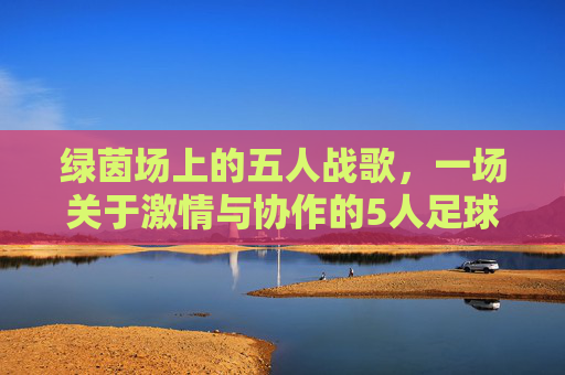 绿茵场上的五人战歌，一场关于激情与协作的5人足球联赛纪实，绿茵场上的五人战歌，一场关于激情与协作的5人足球联赛纪实