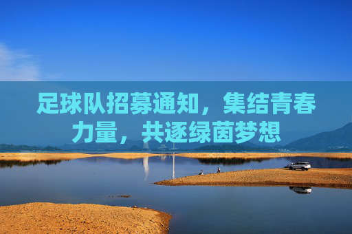 足球队招募通知,集结青春力量,共逐绿茵梦想