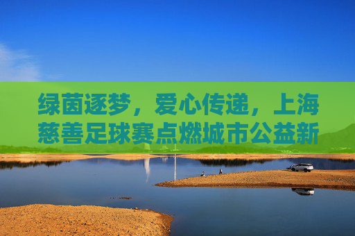 绿茵逐梦,爱心传递,上海慈善足球赛点燃城市公益新篇章