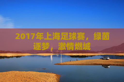 2017年上海足球赛，绿茵逐梦，激情燃城