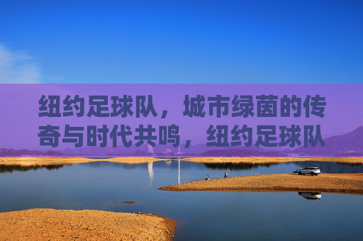 纽约足球队,城市绿茵的传奇与时代共鸣,纽约足球队,城市绿茵的传奇与时代共鸣