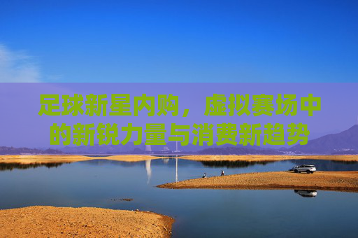 足球新星内购,虚拟赛场中的新锐力量与消费新趋势