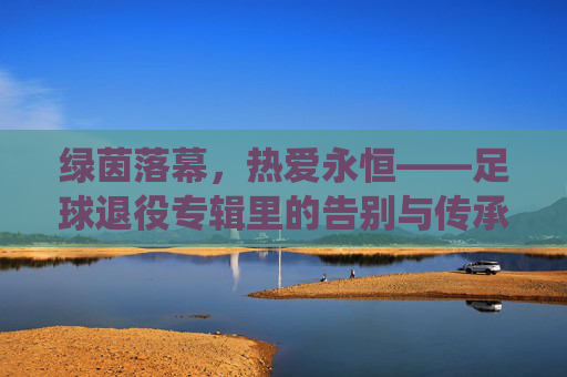 绿茵落幕，热爱永恒——足球退役专辑里的告别与传承，绿茵落幕，热爱永恒——足球退役专辑里的告别与传承
