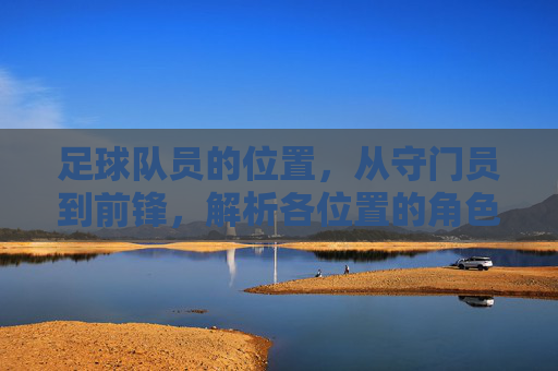 足球队员的位置,从守门员到前锋,解析各位置的角色与战术价值,足球队员位置解析,从守门员到前锋的角色与战术价值