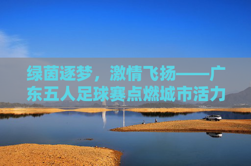 绿茵逐梦，激情飞扬——广东五人足球赛点燃城市活力，绿茵逐梦，激情飞扬——广东五人足球赛点燃城市活力