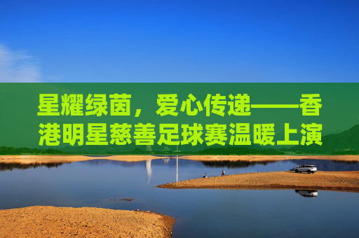 星耀绿茵,爱心传递——香港明星慈善足球赛温暖上演,星耀绿茵,爱心传递——香港明星慈善足球赛温暖上演