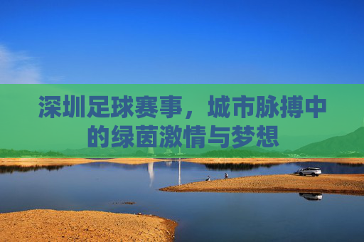 深圳足球赛事,城市脉搏中的绿茵激情与梦想