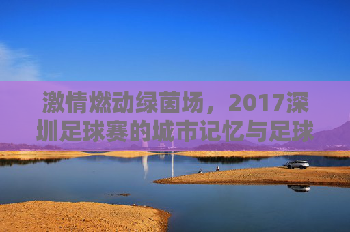 激情燃动绿茵场,2017深圳足球赛的城市记忆与足球情怀,激情燃动绿茵场,2017深圳足球赛的城市记忆与足球情怀