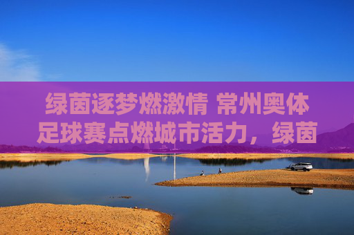 绿茵逐梦燃激情 常州奥体足球赛点燃城市活力，绿茵逐梦燃激情 常州奥体足球赛点燃城市活力