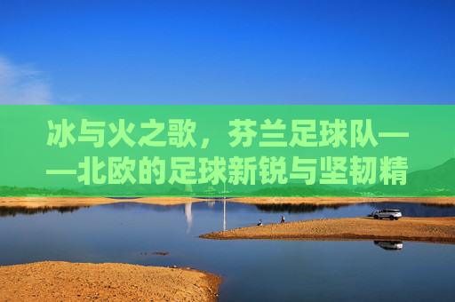 冰与火之歌,芬兰足球队——北欧的足球新锐与坚韧精神,冰与火之歌,芬兰足球队——北欧的足球新锐与坚韧精神