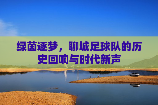 绿茵逐梦,聊城足球队的历史回响与时代新声