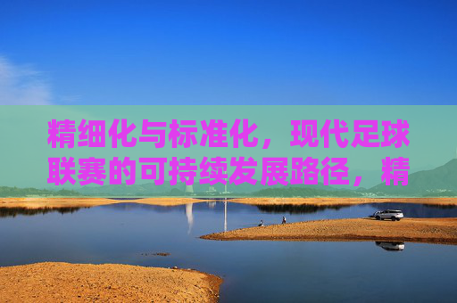 精细化与标准化,现代足球联赛的可持续发展路径,精细化与标准化,现代足球联赛的可持续发展路径
