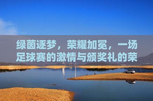 绿茵逐梦，荣耀加冕，一场足球赛的激情与颁奖礼的荣耀，绿茵逐梦，荣耀加冕，足球赛激情与颁奖礼的荣耀