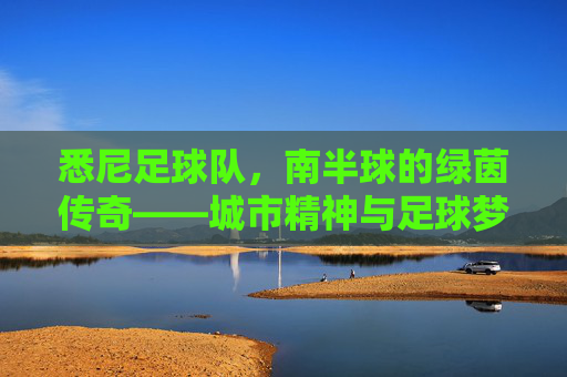 悉尼足球队,南半球的绿茵传奇——城市精神与足球梦想的交汇点