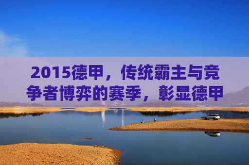 2015德甲，传统霸主与竞争者博弈的赛季，彰显德甲稳定与激情的独特魅力，2015德甲，传统霸主与竞争者博弈的赛季，彰显德甲稳定与激情的独特魅力