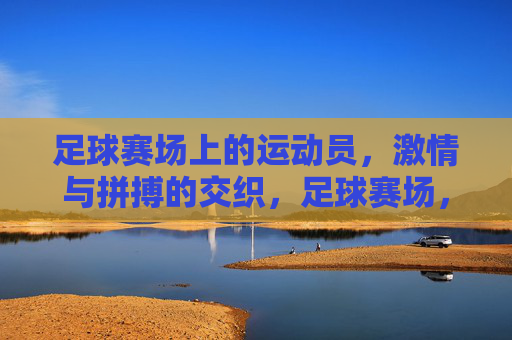 足球赛场上的运动员，激情与拼搏的交织，足球赛场，运动员的激情与拼搏交织