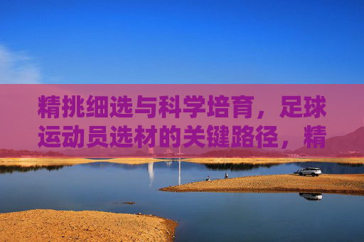 精挑细选与科学培育,足球运动员选材的关键路径,精挑细选与科学培育,足球运动员选材的关键路径