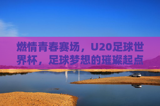 燃情青春赛场,U20足球世界杯,足球梦想的璀璨起点,燃情青春赛场,U20足球世界杯,足球梦想的璀璨起点