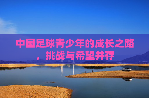 中国足球青少年的成长之路,挑战与希望并存