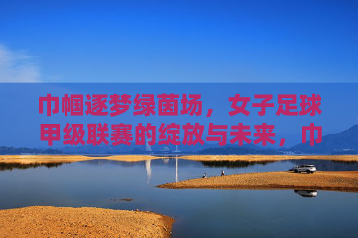 巾帼逐梦绿茵场，女子足球甲级联赛的绽放与未来，巾帼逐梦绿茵场，女子足球甲级联赛的绽放与未来
