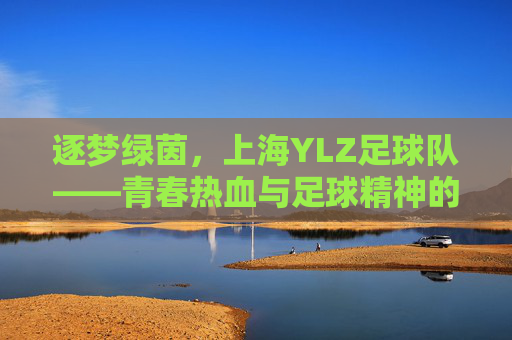 逐梦绿茵，上海YLZ足球队——青春热血与足球精神的集结地，逐梦绿茵，上海YLZ足球队——青春热血与足球精神的集结地