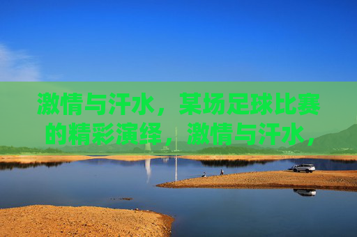 激情与汗水,某场足球比赛的精彩演绎,激情与汗水,一场足球比赛的精彩演绎