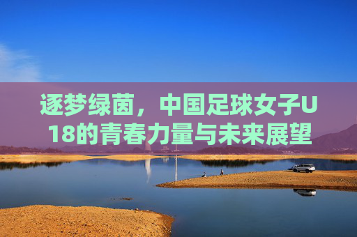 逐梦绿茵,中国足球女子U18的青春力量与未来展望
