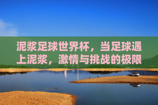 泥浆足球世界杯,当足球遇上泥浆,激情与挑战的极限碰撞,泥浆足球世界杯,足球与泥浆的激情极限碰撞