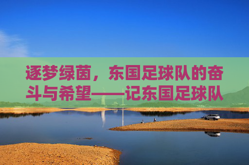 逐梦绿茵，东国足球队的奋斗与希望——记东国足球队的发展历程，逐梦绿茵，东国足球队的奋斗与希望——记东国足球队的发展历程