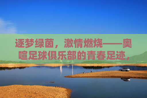 逐梦绿茵,激情燃烧——奥喧足球俱乐部的青春足迹,逐梦绿茵,激情燃烧——奥喧足球俱乐部的青春足迹