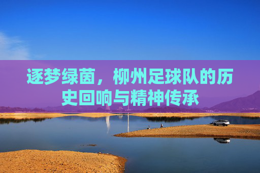 逐梦绿茵,柳州足球队的历史回响与精神传承