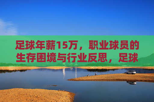 足球年薪15万,职业球员的生存困境与行业反思,足球年薪15万,职业球员的生存困境与行业反思