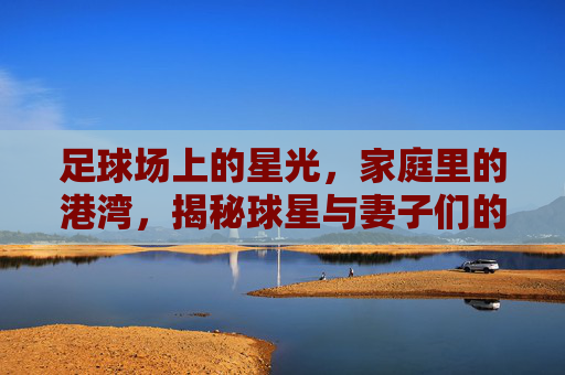 足球场上的星光,家庭里的港湾,揭秘球星与妻子们的足球+爱故事,足球场上的星光,家庭里的港湾,揭秘球星与妻子的足球爱故事