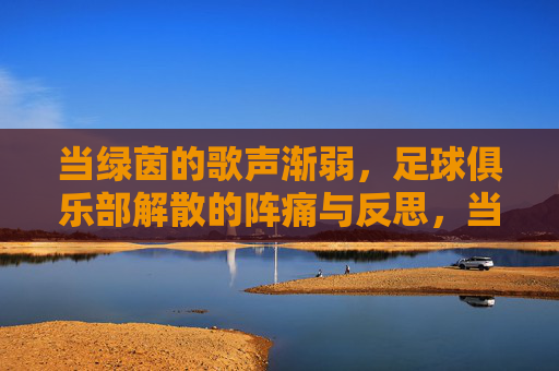 当绿茵的歌声渐弱，足球俱乐部解散的阵痛与反思，当绿茵的歌声渐弱，足球俱乐部解散的阵痛与反思