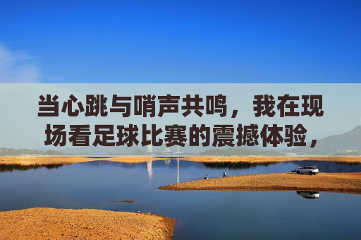 当心跳与哨声共鸣,我在现场看足球比赛的震撼体验,当心跳与哨声共鸣,我在现场看足球比赛的震撼体验