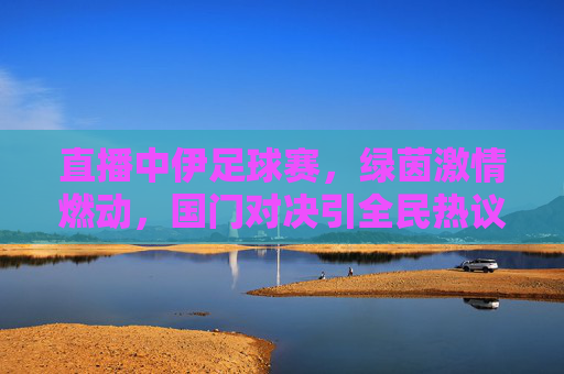 直播中伊足球赛，绿茵激情燃动，国门对决引全民热议，中伊足球赛直播，绿茵激情燃动，国门对决引全民热议