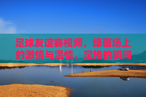 足球友谊赛视频，绿茵场上的激情与温情，定格的瞬间与未说出口的默契，足球友谊赛，绿茵场上的激情与温情，定格瞬间与未说出口的默契