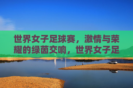 世界女子足球赛,激情与荣耀的绿茵交响,世界女子足球赛,激情与荣耀的绿茵交响