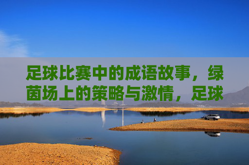 足球比赛中的成语故事,绿茵场上的策略与激情,足球比赛中的成语故事,绿茵场上的策略与激情