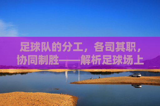 足球队的分工,各司其职,协同制胜——解析足球场上力量的整合之道,足球队的分工与协同,解析力量整合的制胜之道
