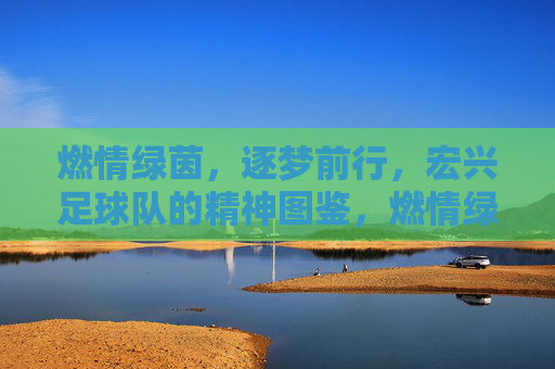 燃情绿茵,逐梦前行,宏兴足球队的精神图鉴,燃情绿茵,逐梦前行,宏兴足球队的精神图鉴
