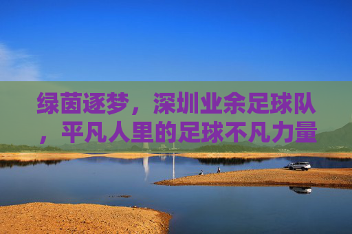 绿茵逐梦，深圳业余足球队，平凡人里的足球不凡力量，绿茵逐梦，深圳业余足球队，平凡人里的足球不凡力量