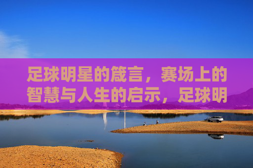 足球明星的箴言,赛场上的智慧与人生的启示,足球明星的箴言,赛场上的智慧与人生的启示