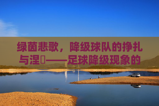 绿茵悲歌,降级球队的挣扎与涅槃——足球降级现象的深度剖析,绿茵悲歌,降级球队的挣扎与涅槃——足球降级现象的深度剖析