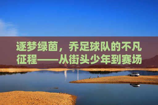 逐梦绿茵，乔足球队的不凡征程——从街头少年到赛场精英的足球传奇，逐梦绿茵，乔足球队的不凡征程——从街头少年到赛场精英的足球传奇
