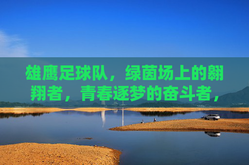 雄鹰足球队，绿茵场上的翱翔者，青春逐梦的奋斗者，雄鹰足球队，绿茵场上的翱翔者，青春逐梦的奋斗者