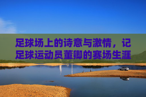 足球场上的诗意与激情，记足球运动员董卿的赛场生涯，足球场上的诗意与激情，记足球运动员董卿的赛场生涯