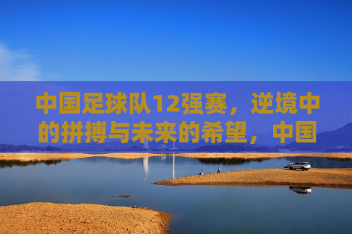中国足球队12强赛，逆境中的拼搏与未来的希望，中国足球队12强赛，逆境拼搏与未来希望