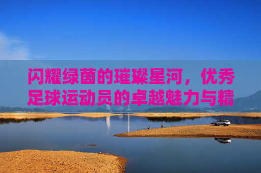 闪耀绿茵的璀璨星河，优秀足球运动员的卓越魅力与精神内核，闪耀绿茵的璀璨星河，优秀足球运动员的卓越魅力与精神内核